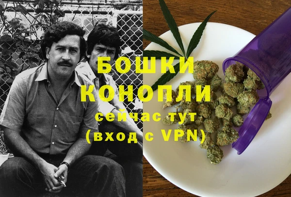 дмт Арсеньев